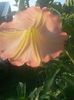 20150718_075746