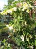 20150723_075939