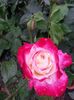 20150713_190742