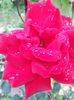 20150713_190758