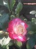 20150718_080101