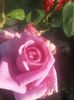 20150718_080146