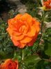 20150724_151252