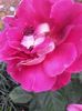20150724_170515