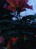 20150920_193608