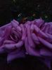 20150920_193625