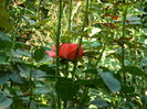 DSCN7931