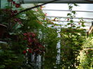 DSCN7945