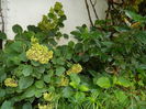 DSCN7947