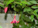 DSCN7949