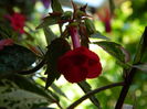 DSCN7961