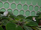 DSCN7965