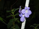 DSCN7972
