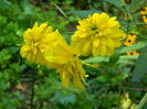 DSCN7976