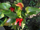 DSCN7978