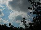 DSCN8006