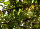 DSCN8025