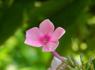 DSCN8027
