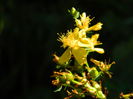 DSCN8042
