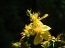 DSCN8043