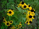 DSCN8046