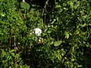 DSCN8063