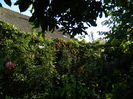 DSCN8065