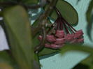 DSCN8107