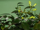 DSCN8123