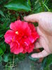 DSC04929