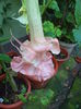 DSC04935