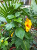 DSC04937