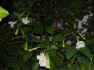 DSCN8836