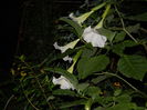DSCN9045