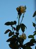DSCN8188