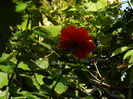 DSCN8327