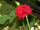 DSCN8328