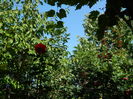 DSCN8341