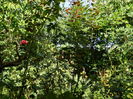 DSCN8342