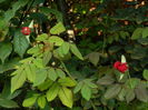 DSCN8386