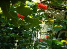 DSCN8427