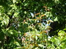DSCN8447