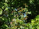 DSCN8448