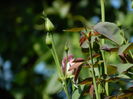 DSCN8449