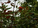 DSCN8604
