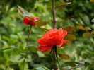 DSCN8607