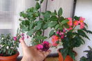 DSC08238