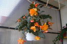 DSC08237