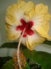 DSC03725