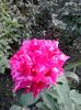 20150923_173248